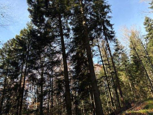 2025-11-05 10.31.44.jpg