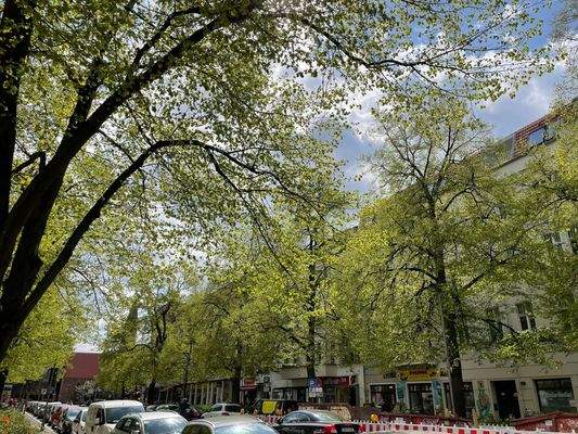 Blick in die Straße