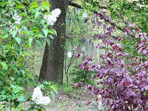 Bennewitz Grundstücke, Bennewitz Grundstück kaufen