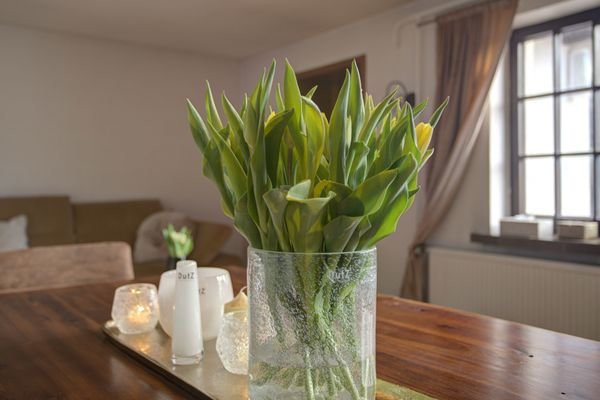 Wohnzimmer EFH
