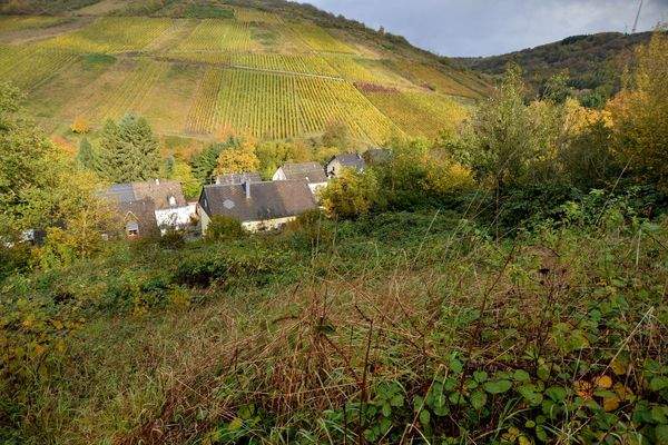 St. Laurentius-Straße 5 – 54320 Waldrach