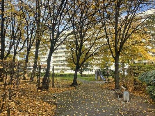 Innenhof Richtung Norden