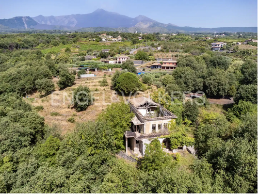 Schermata 2024-07-24 alle 12.27.48.png