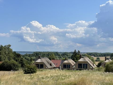 Hohen Kirchen Bauernhöfe, Landwirtschaft, Hohen Kirchen Forstwirtschaft