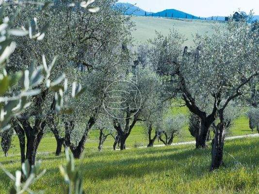 Wundervolles Anwesen | Livorno