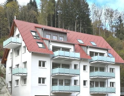 Todtnau Wohnungen, Todtnau Wohnung kaufen