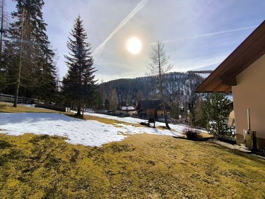 Weitläufiger, an den Wald angrenzender Garten