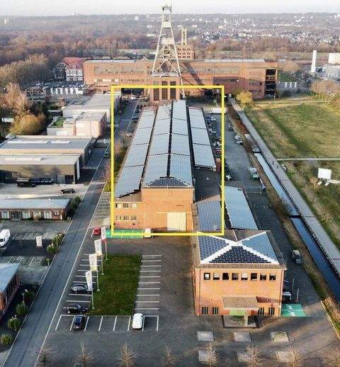 Herten Halle, Herten Hallenfläche