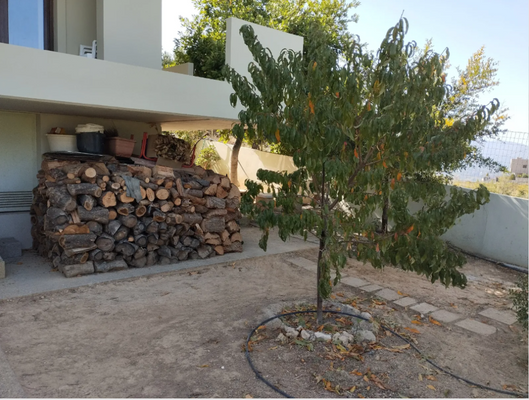 Kreta, Vasilies: Einfamilienhaus mit schöner Aussicht zu verkaufen