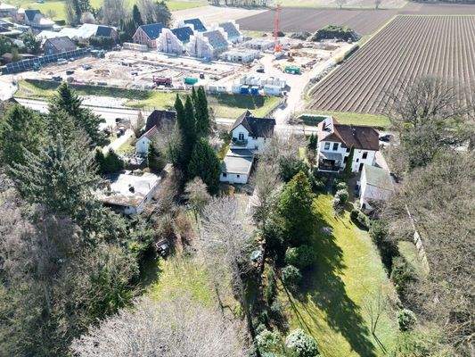 dji_fly_20260320_210844_156_1774264908421_photo