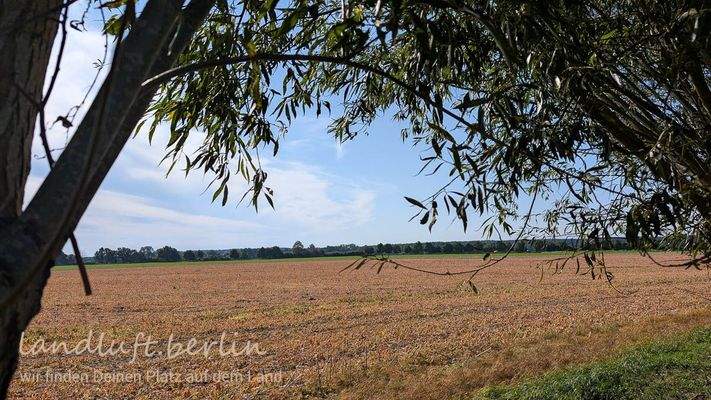 Blick vom Grundstück über die Felder.jpg