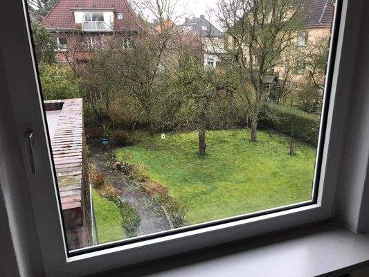 Blick in den Garten