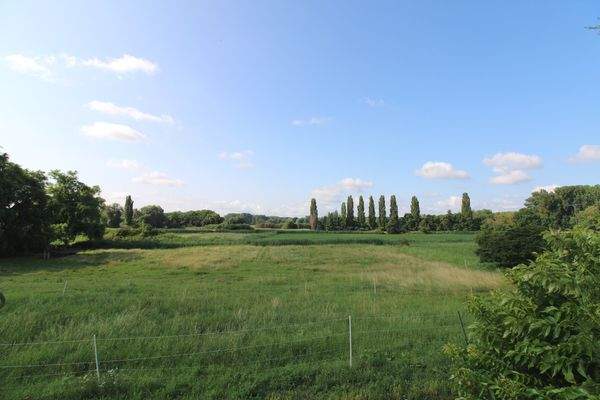 Naturschutzgebiet Rheinauen