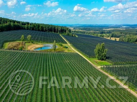 Farma-21.jpg