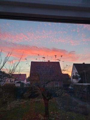 Blick aus dem Wintergarten