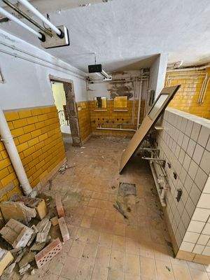 WhatsApp Image 2026-02-20 at 1