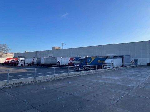 Berlin Halle, Berlin Hallenfläche