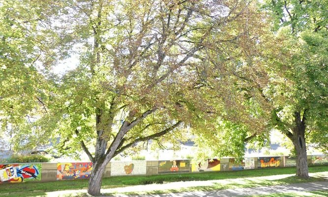 Blick in die Natur