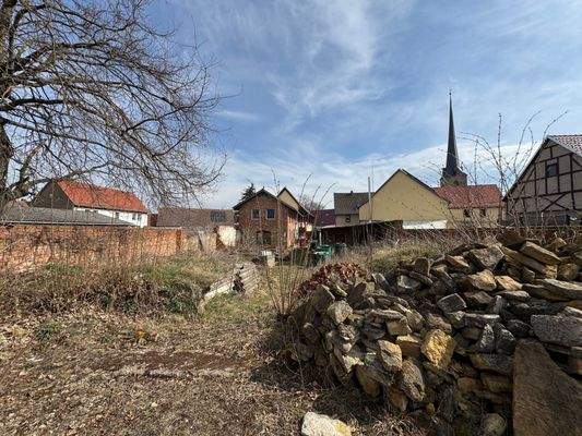 Garten mit Blick zum Haus