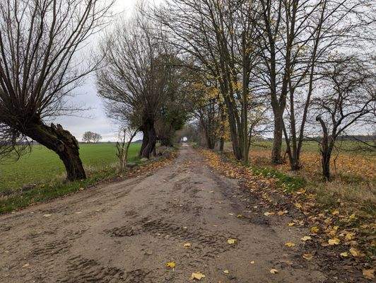 Zuwegung Kuppentin-Ausbau