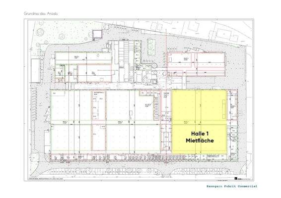 Mietfläche Halle 1