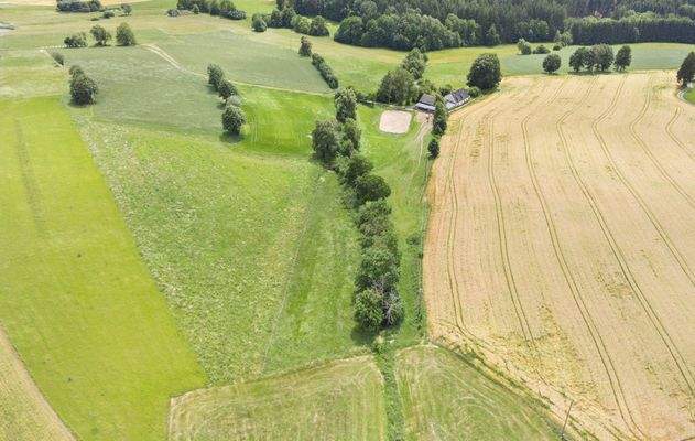 Reitplatz Nordansicht