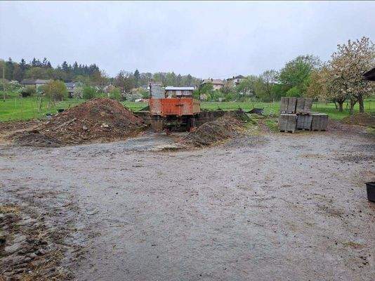 03_Blick ins Grundstück.jpg