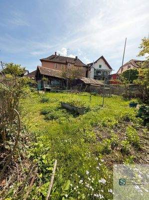 Garten (Ai bearbeitet)