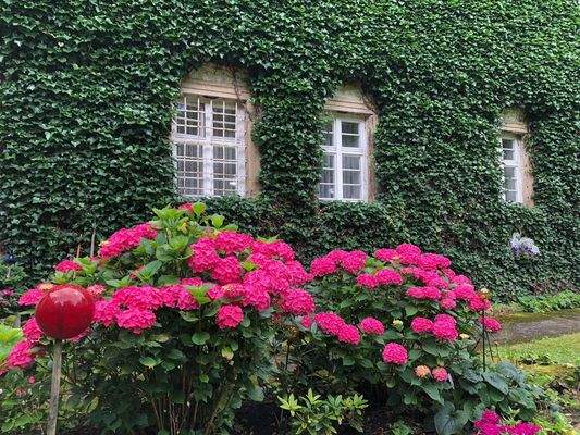 Wohnzimmerfenster zum Teich