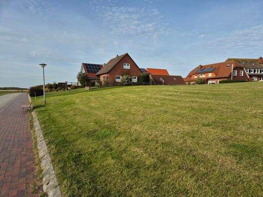 Blick vom Deich auf ´s Haus.jpg