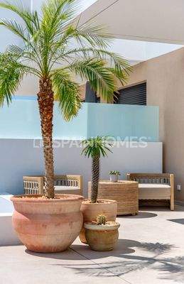 Semi-Detached Houses with Pools in Dolores Alicante