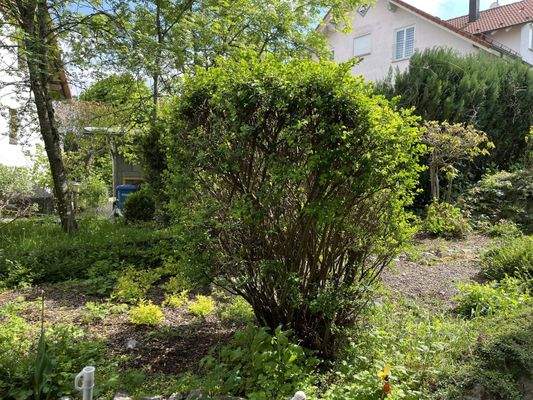 Gartenanteil UG