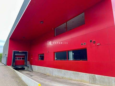 Düsseldorf Halle, Düsseldorf Hallenfläche