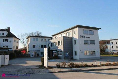 Schärding Büros, Büroräume, Büroflächen 