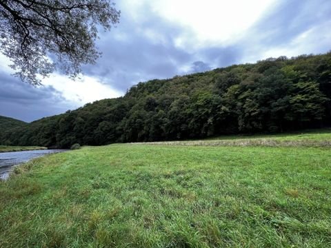 Merkersdorf Bauernhöfe, Landwirtschaft, Merkersdorf Forstwirtschaft