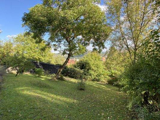 Weitläufiger, grüner Garten