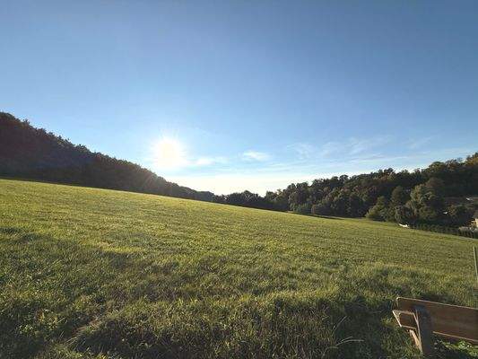 Blick vom Wintergarten aus