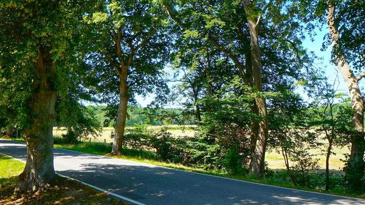 Blick über die Straße in die Weite