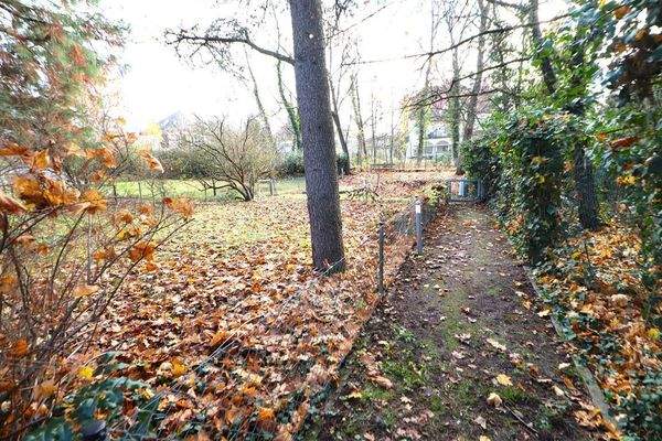 Parkähnliche Grünanlagen auf dem Grundstück