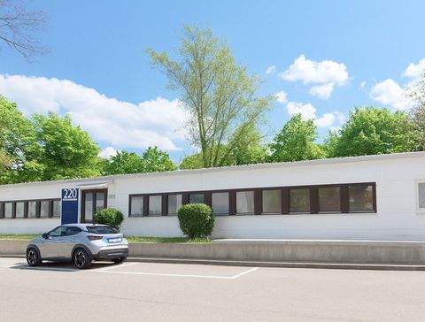 München Halle, München Hallenfläche