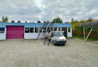 INFOS UNTER: 06171-586000