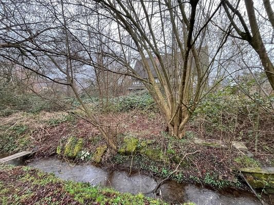 Bachlauf vor Fl.Nr. 13