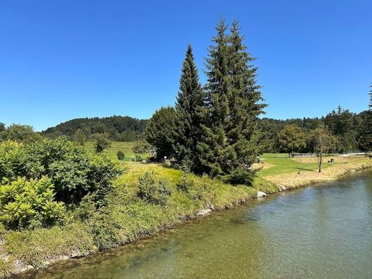 Blick zum Grundstücksteil der an die Leitzach direkt angrenzt