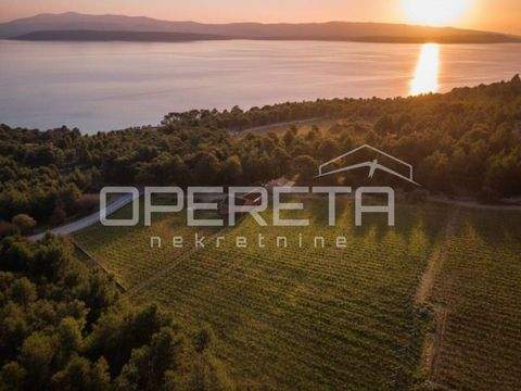 Bol Häuser, Bol Haus kaufen