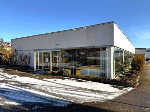 Heidenheim an der Brenz Halle, Heidenheim an der Brenz Hallenfläche