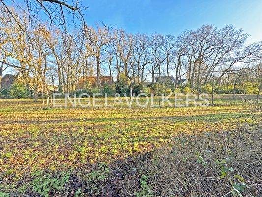 Blick auf das Naturschutzgebiet