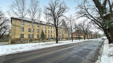 Frankfurt (Oder) Büros, Büroräume, Büroflächen 