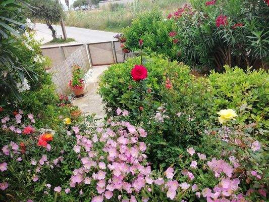 Kreta, Pirgos Psilonerou: Schönes Haus in toller Anlage in Strandlage zu verkaufen