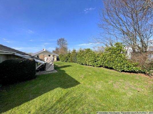 eingewachsener Garten im Frühling