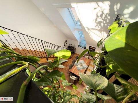 Stockerau Wohnungen, Stockerau Wohnung kaufen